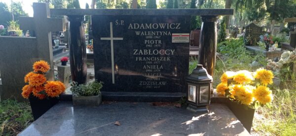 http://znakipamieci.pl/_00_remote/nop2.png