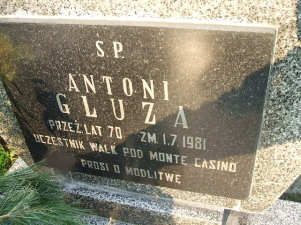 http://znakipamieci.pl/_00_remote/nop2.png